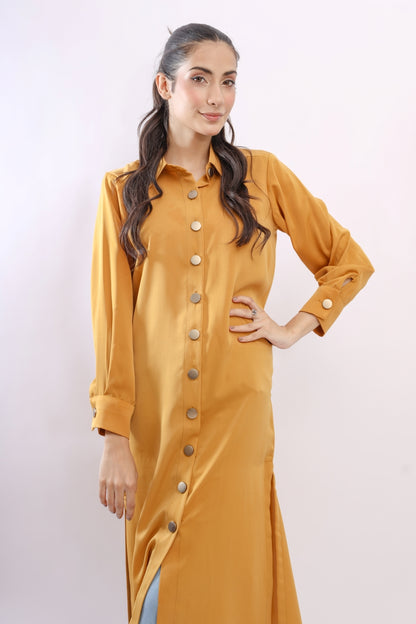 Button Down Shirt