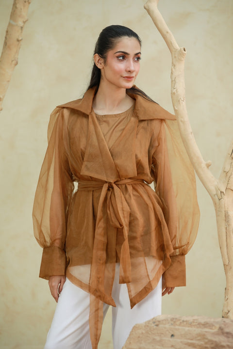 Barely There Organza Blouse — alternate view