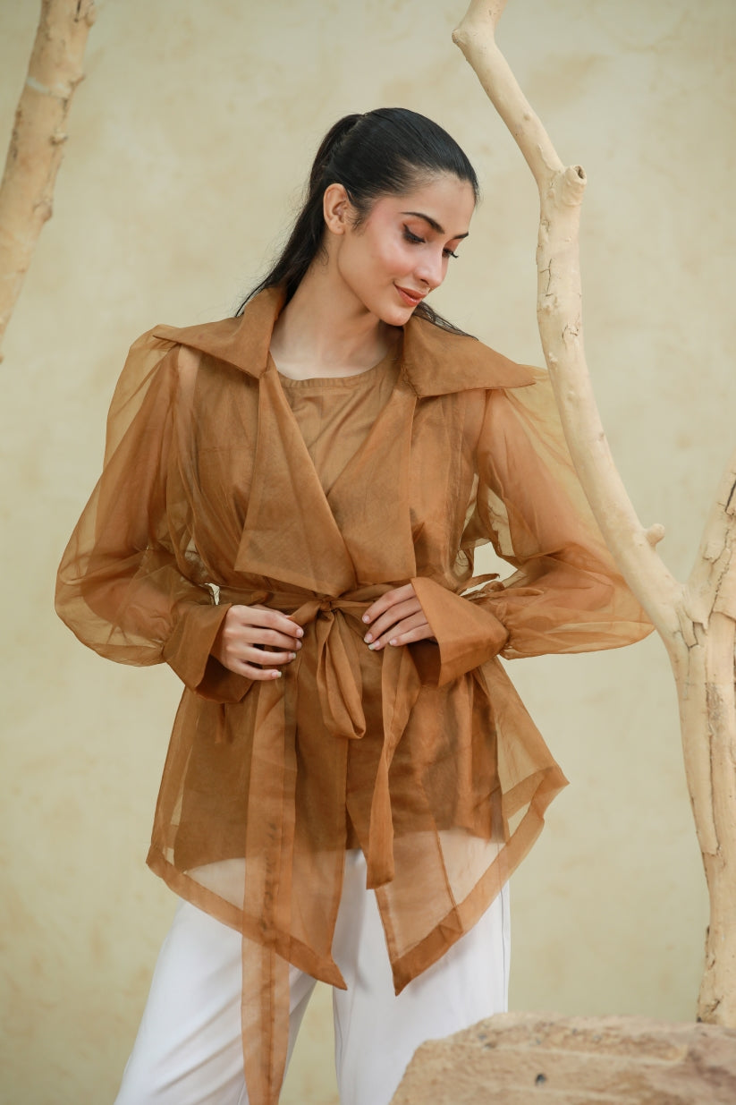 Barely There Organza Blouse