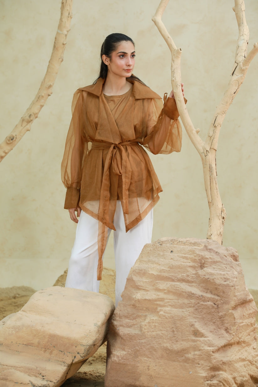 Barely There Organza Blouse