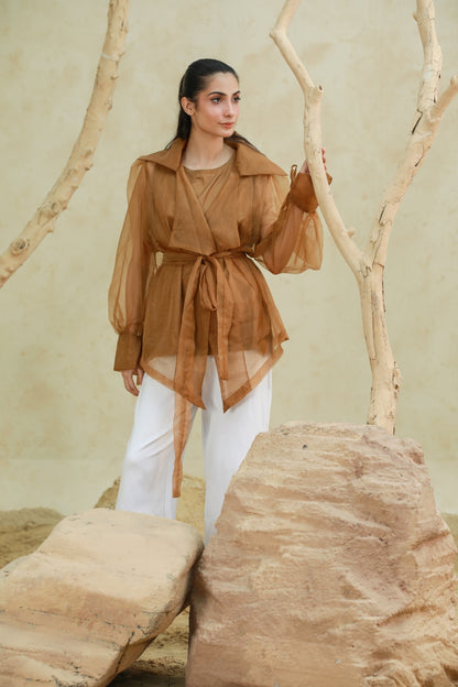 Barely There Organza Blouse