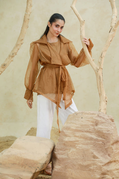 Barely There Organza Blouse